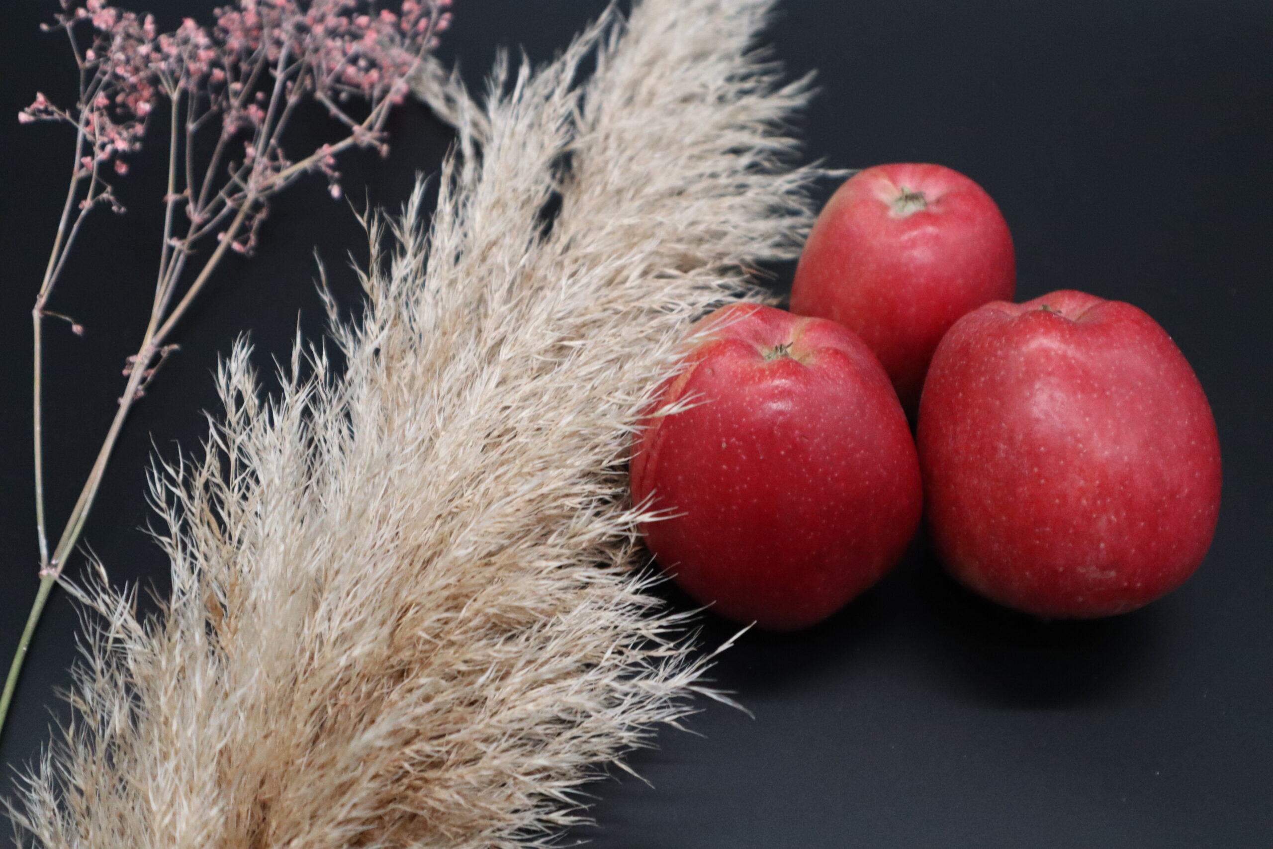 Apfel zum backen, Apfelkuchen zuckerfrei