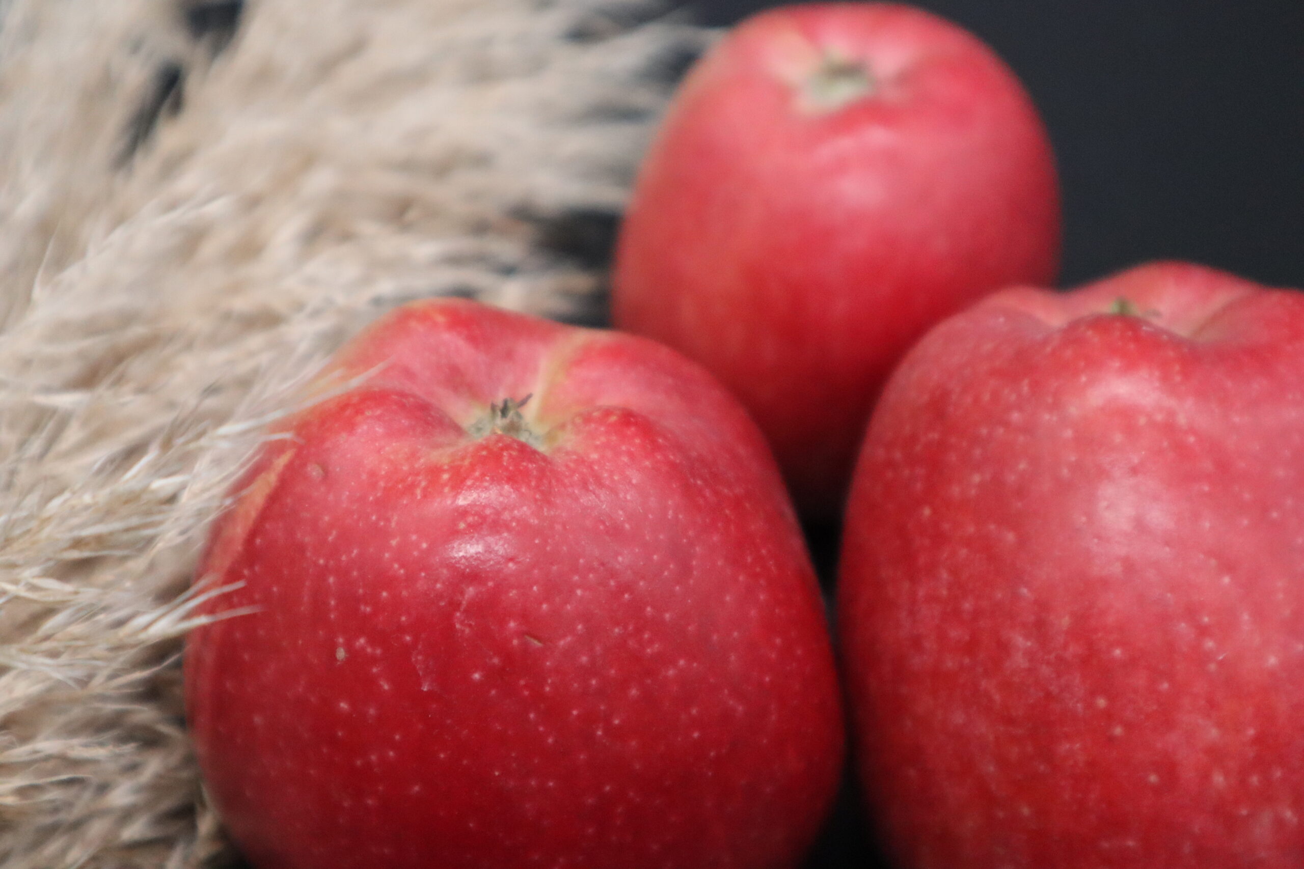 Apfel zum backen, Apfelkuchen zuckerfrei